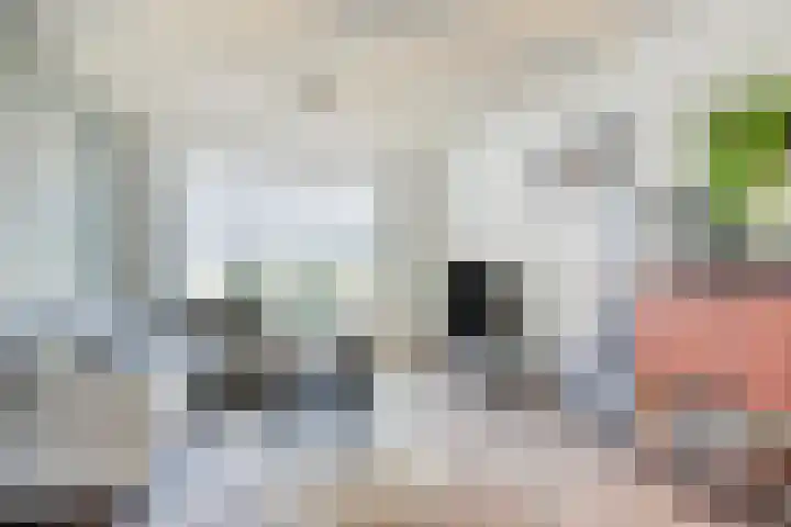 Piet Soerstraat 11 Helmond thumbnail 6