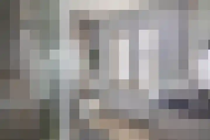 Piet Soerstraat 22 Helmond thumbnail 4