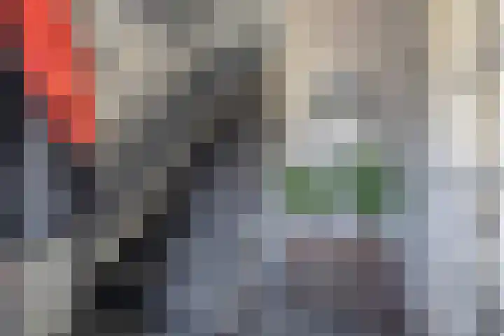 Piet Soerstraat 22 Helmond thumbnail 6