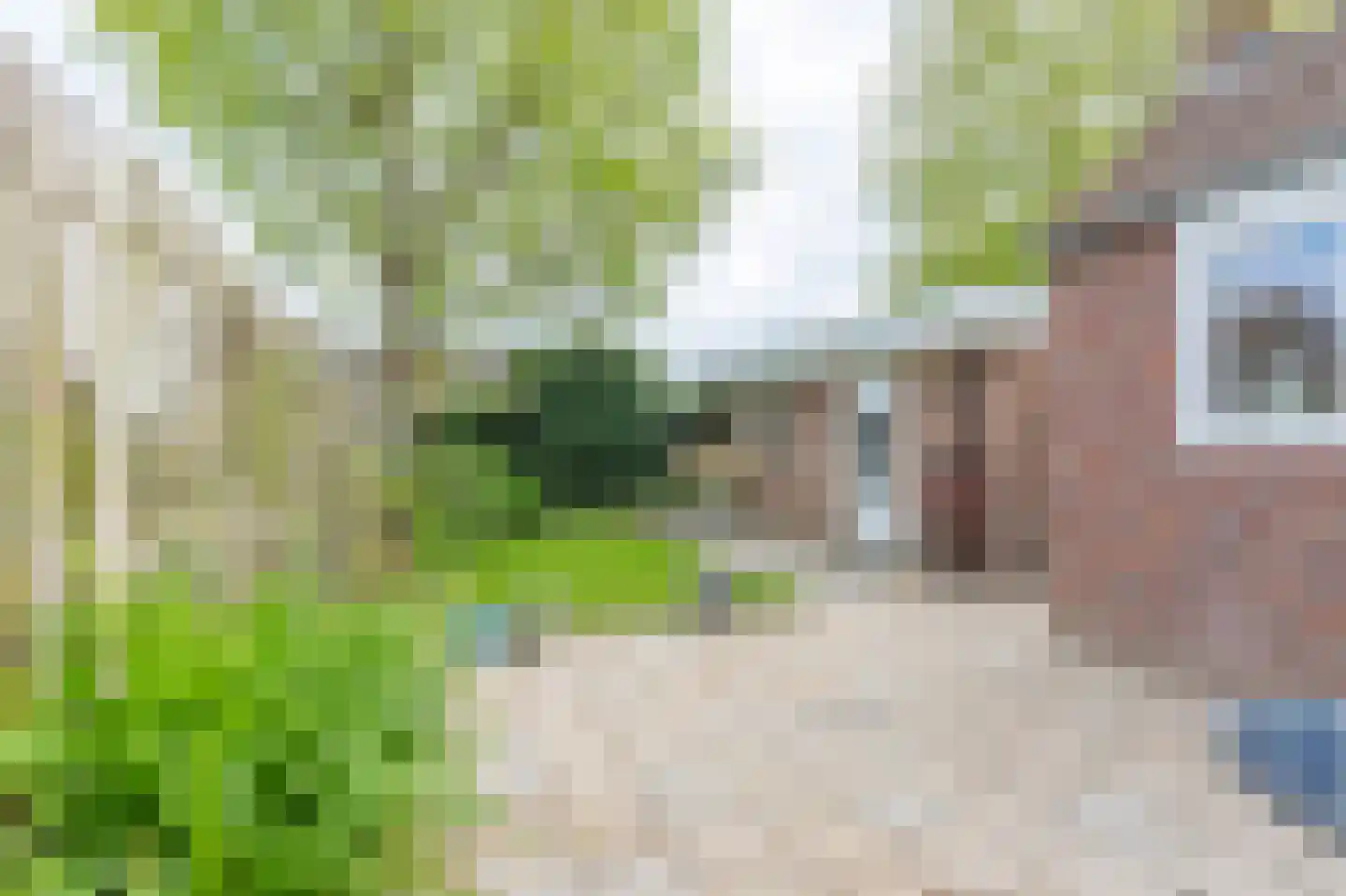 Piet Stalmeierstraat 82 Hoensbroek thumbnail 18