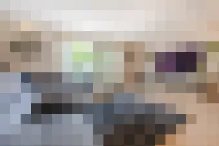 Piet Stoffelenstraat 16 Steenbergen thumbnail 14
