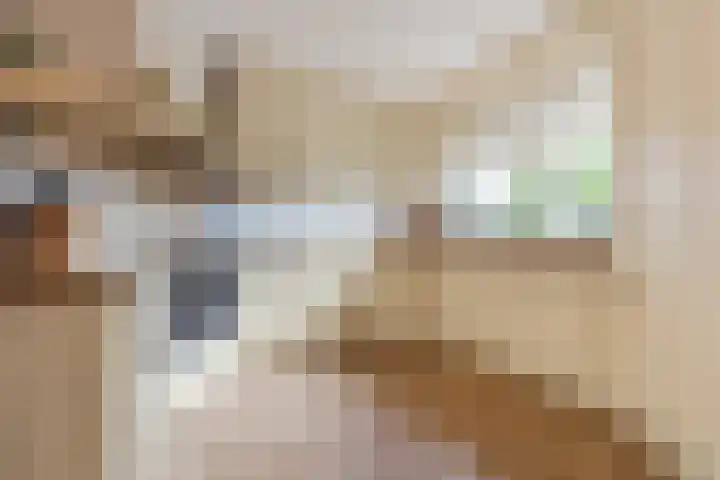 Piet Stoffelenstraat 16 Steenbergen thumbnail 17