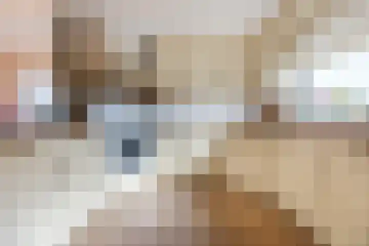 Piet Stoffelenstraat 16 Steenbergen thumbnail 18