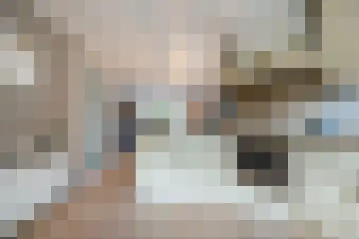 Piet Stoffelenstraat 16 Steenbergen thumbnail 20