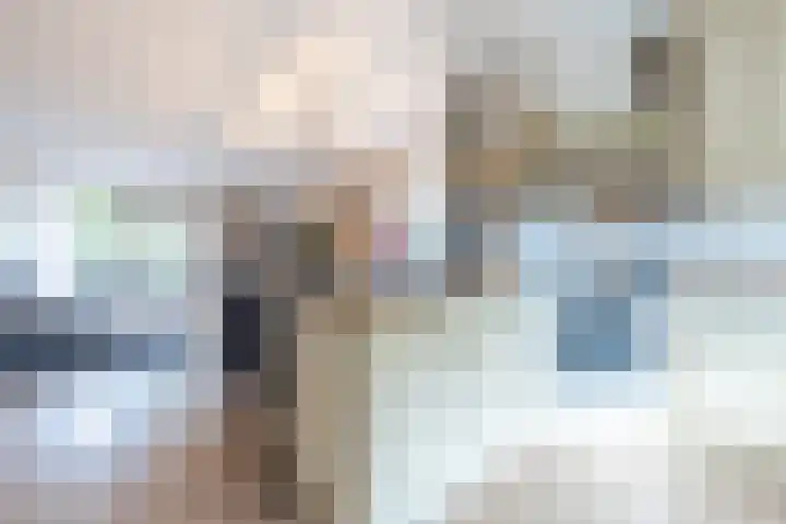 Piet Stoffelenstraat 16 Steenbergen thumbnail 21