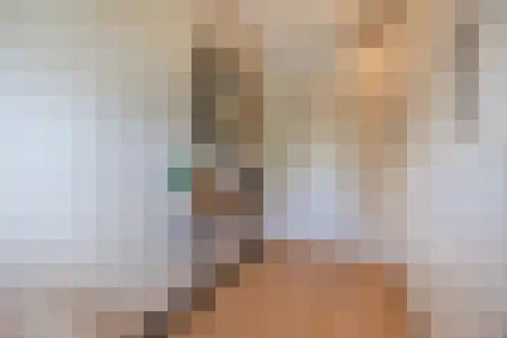 Piet Stoffelenstraat 16 Steenbergen thumbnail 31