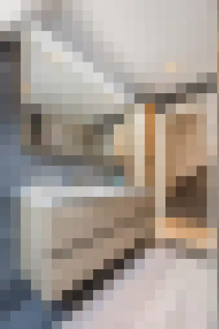 Piet Stoffelenstraat 16 Steenbergen thumbnail 34