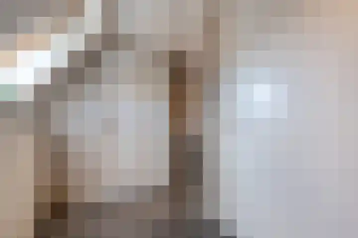 Piet Stoffelenstraat 16 Steenbergen thumbnail 39