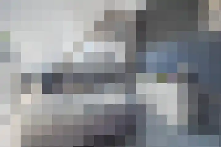 Piet Stoffelenstraat 16 Steenbergen thumbnail 41