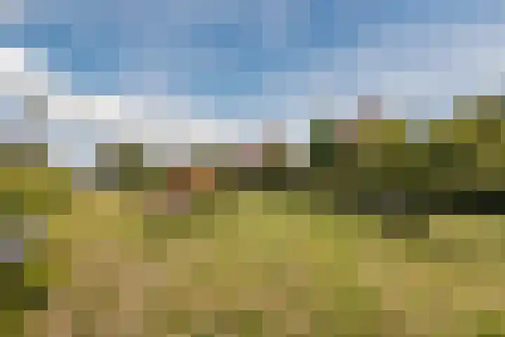 Piet Stoffelenstraat 16 Steenbergen thumbnail 54