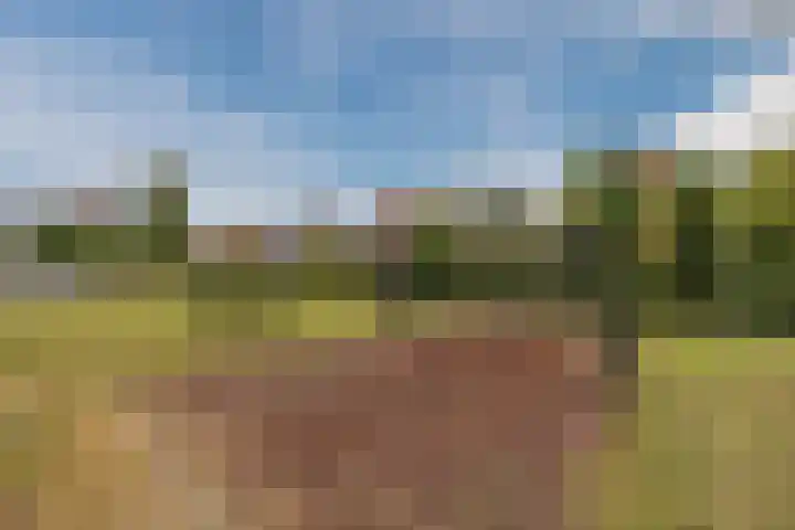 Piet Stoffelenstraat 16 Steenbergen thumbnail 55