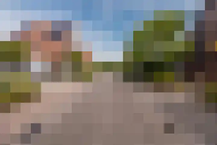 Piet Stoffelenstraat 16 Steenbergen thumbnail 6