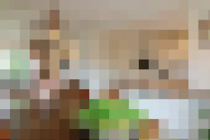 Piet van Breemenstraat 13 Wijlre thumbnail 15