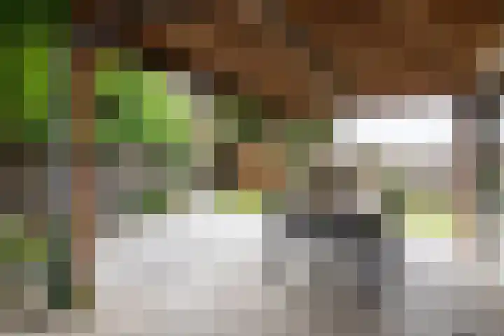 Piet van Breemenstraat 13 Wijlre thumbnail 40