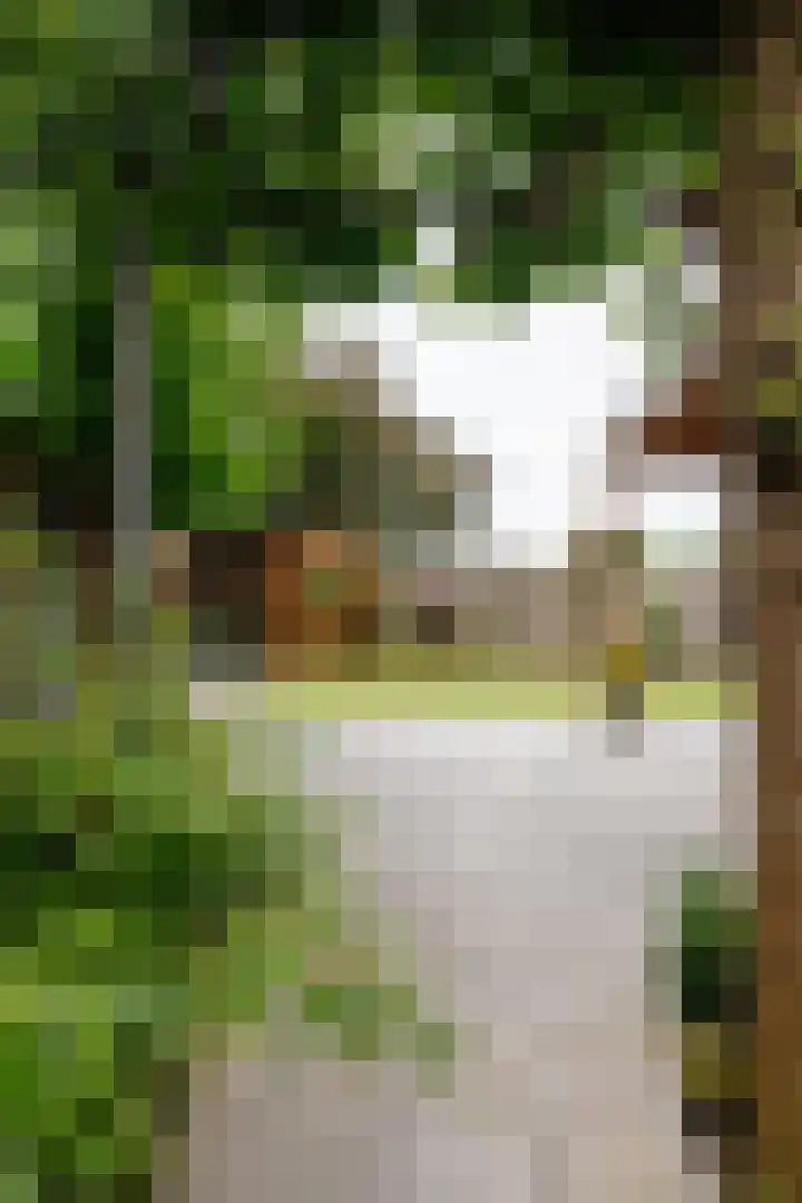 Piet van Breemenstraat 13 Wijlre thumbnail 41
