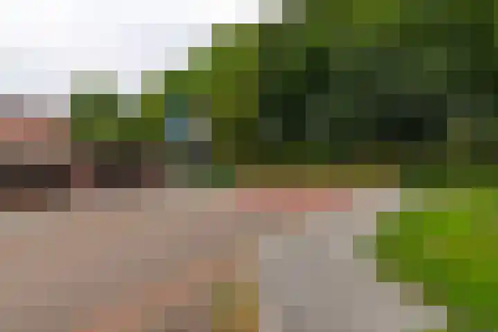Piet van Breemenstraat 13 Wijlre thumbnail 5
