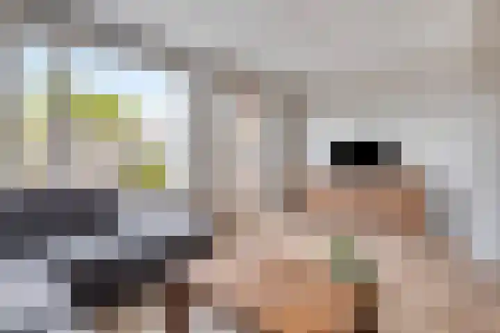 Piet van Damlaan 24 Hillegom thumbnail 12