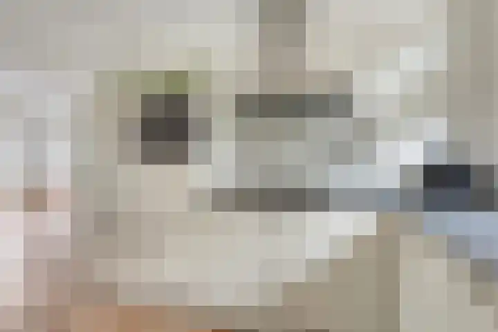 Piet van Damlaan 24 Hillegom thumbnail 15