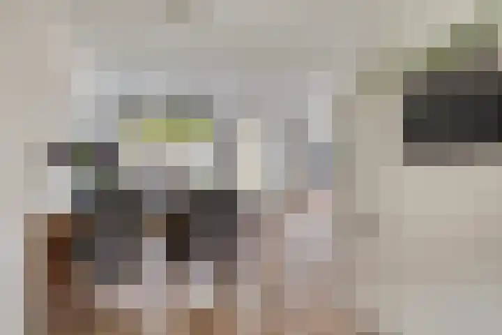 Piet van Damlaan 24 Hillegom thumbnail 17