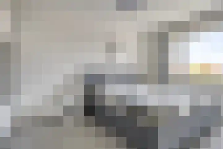 Piet van Damlaan 24 Hillegom thumbnail 18