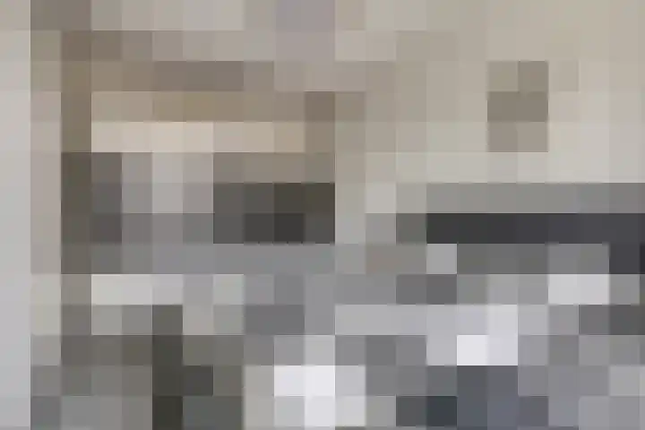 Piet van Damlaan 24 Hillegom thumbnail 19