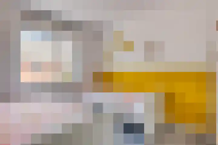 Piet van Damlaan 24 Hillegom thumbnail 21