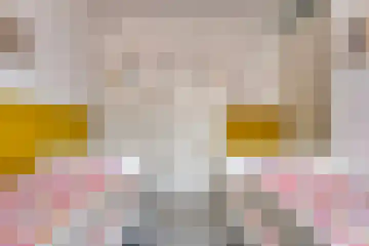 Piet van Damlaan 24 Hillegom thumbnail 22