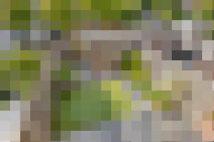 Piet van Damlaan 24 Hillegom thumbnail 30