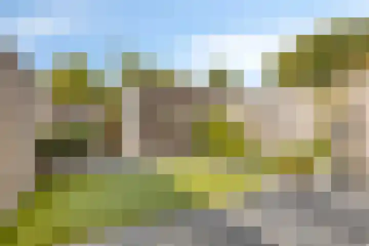 Piet van Damlaan 24 Hillegom thumbnail 31