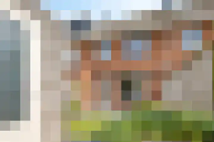 Piet van Damlaan 24 Hillegom thumbnail 32