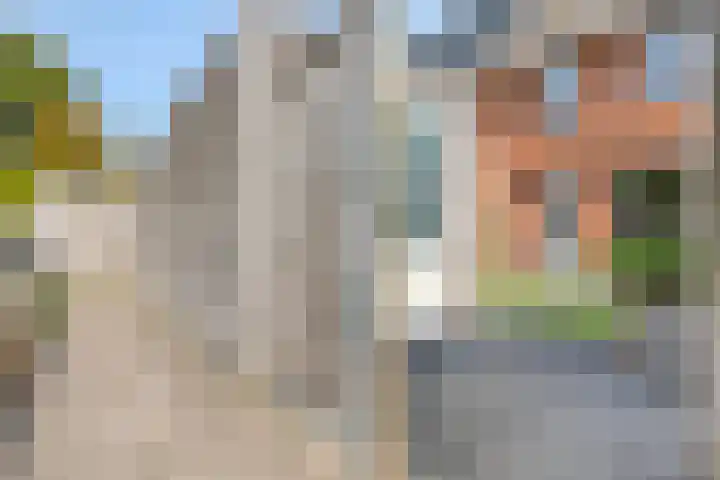 Piet van Damlaan 24 Hillegom thumbnail 34
