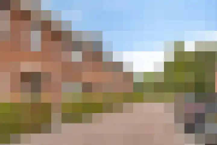 Piet van Damlaan 24 Hillegom thumbnail 35