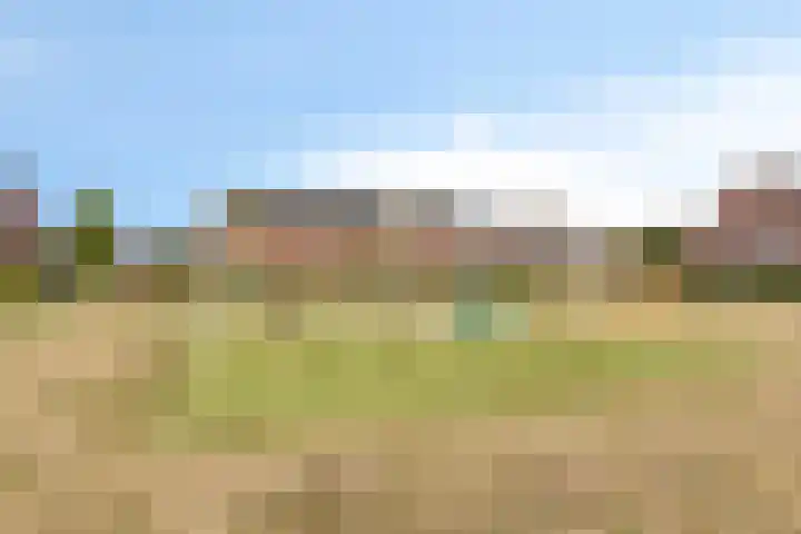 Piet van Damlaan 24 Hillegom thumbnail 37