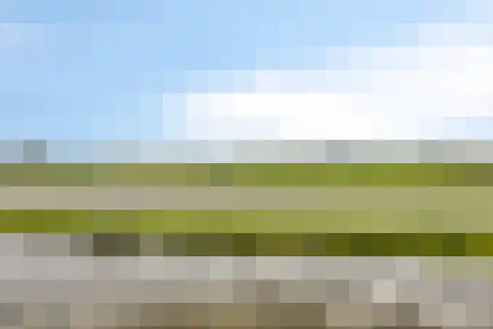 Piet van Damlaan 24 Hillegom thumbnail 38