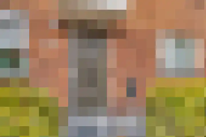Piet van Damlaan 24 Hillegom thumbnail 6