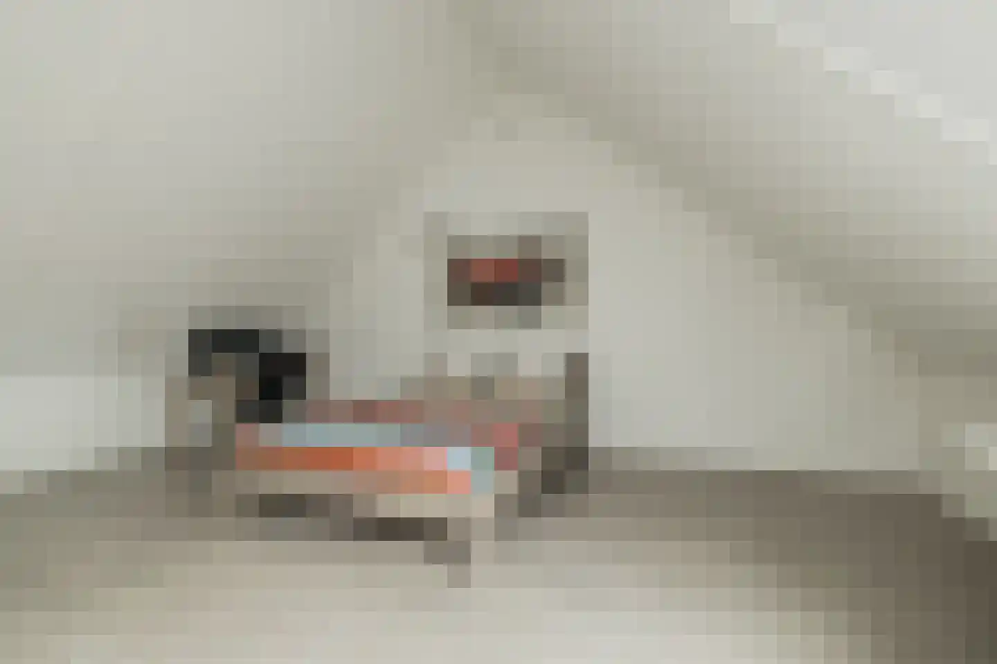 Piet van Damlaan 26 Hillegom thumbnail 37