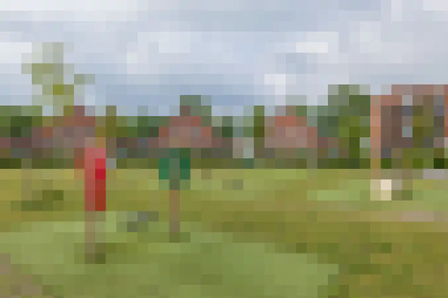 Piet van Damlaan 26 Hillegom thumbnail 50