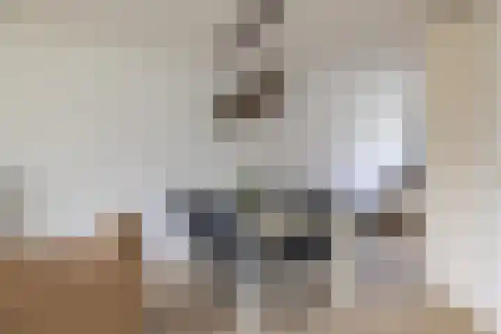 Piet van Damlaan 35 Hillegom thumbnail 11