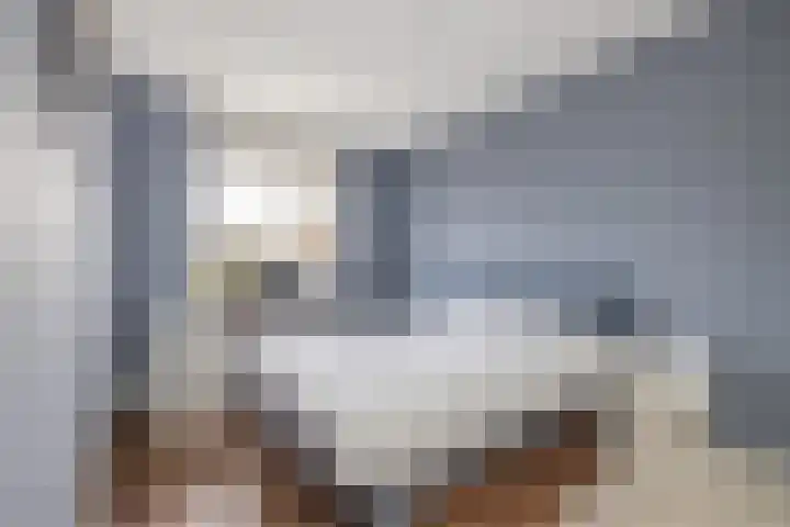 Piet van Damlaan 35 Hillegom thumbnail 16