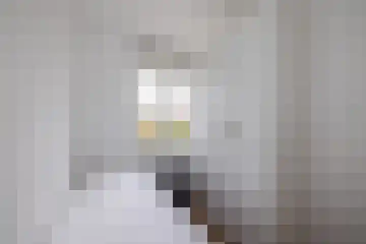 Piet van Damlaan 35 Hillegom thumbnail 17