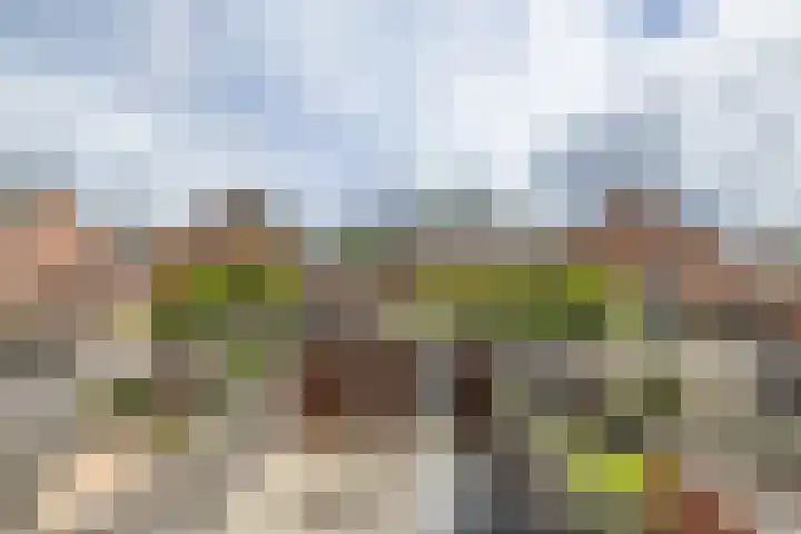 Piet van Damlaan 35 Hillegom thumbnail 20