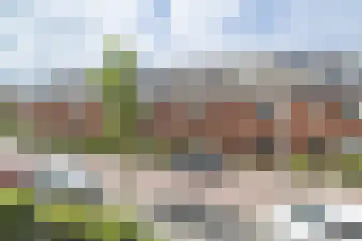 Piet van Damlaan 35 Hillegom thumbnail 21