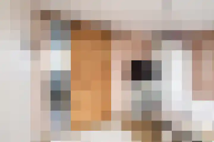 Piet van Damlaan 35 Hillegom thumbnail 24