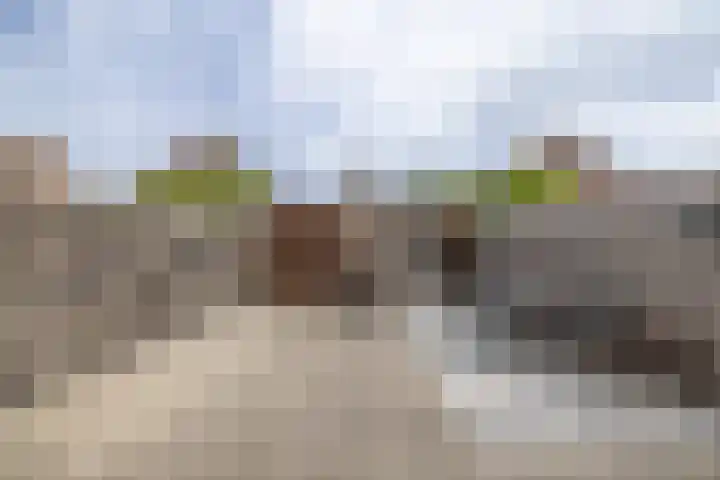 Piet van Damlaan 35 Hillegom thumbnail 30