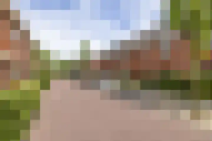 Piet van Damlaan 35 Hillegom thumbnail 32