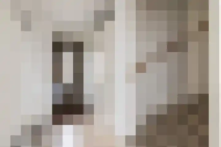 Piet van Damlaan 35 Hillegom thumbnail 7