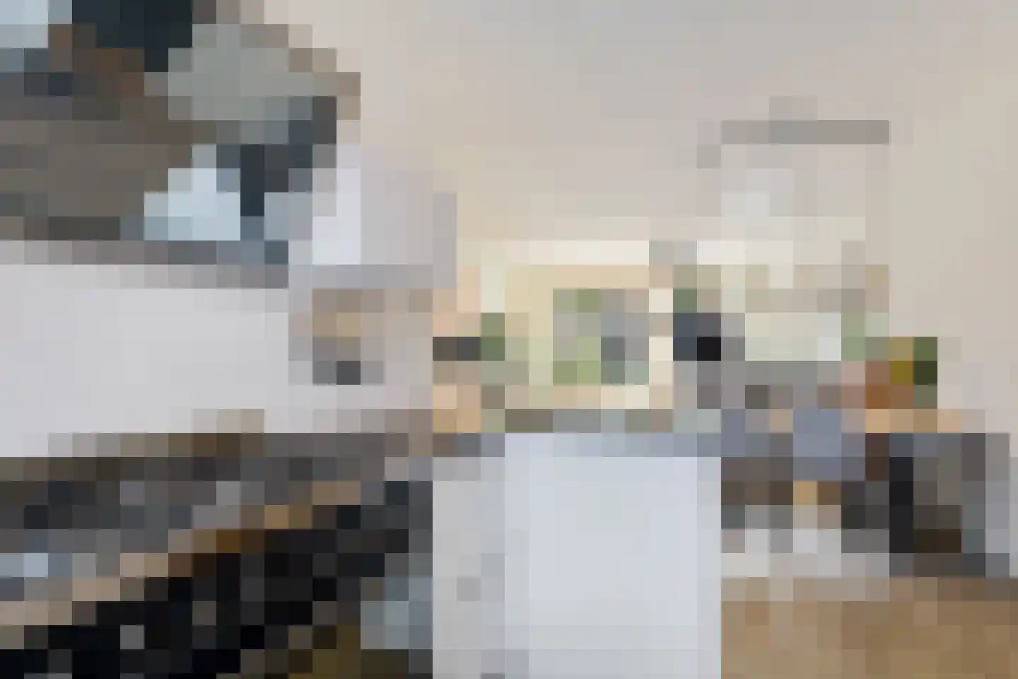 Piet van Damlaan 6 Hillegom thumbnail 14