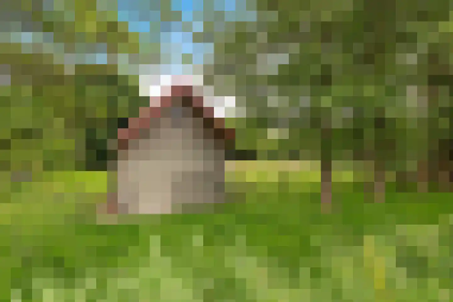 Piet van Damlaan 6 Hillegom thumbnail 31