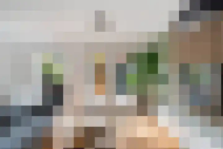 Piet van de Polsingel 114 Rotterdam thumbnail 13