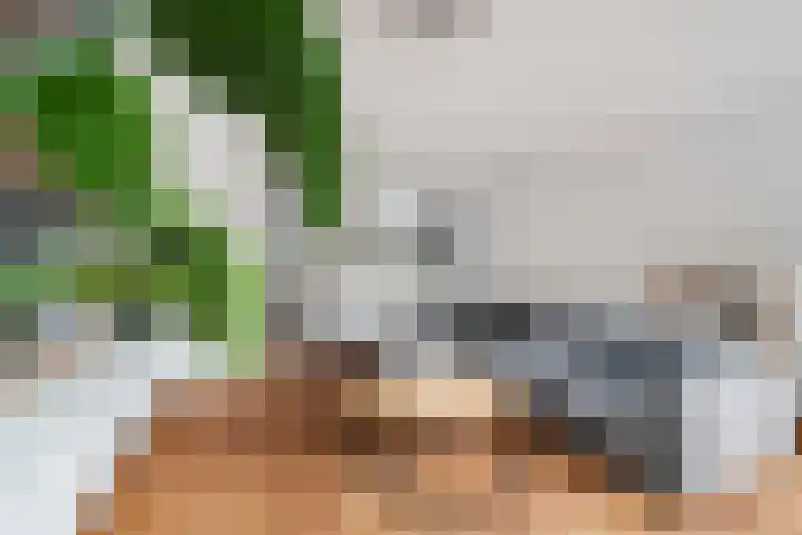 Piet van de Polsingel 114 Rotterdam thumbnail 16